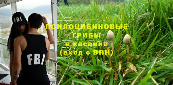 прущая мука Армянск